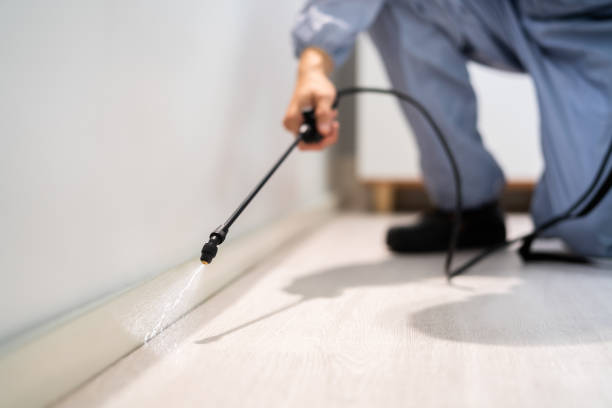 Licensed Pest Control service in Wilsonville, OR - Show Me Pest Control