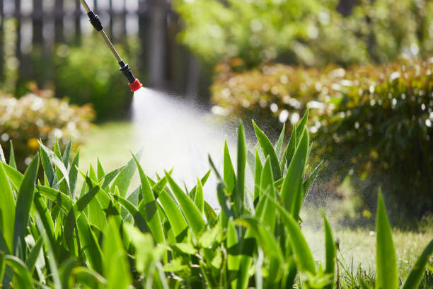 Tamper-Resistant Bait Stations for Rodents in Wilsonville