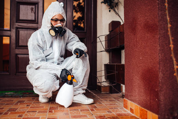 Attic and Crawl Space Rodent Treatment in Wilsonville